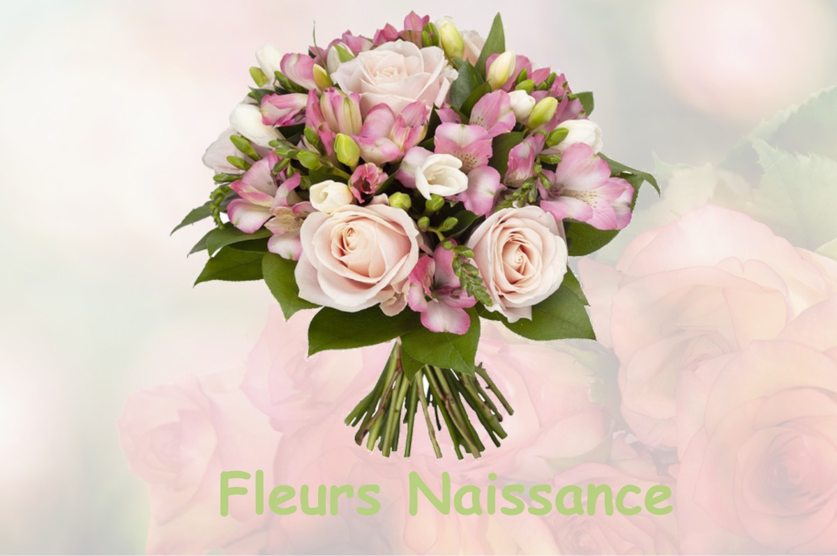 fleurs naissance PERRIERS-LA-CAMPAGNE