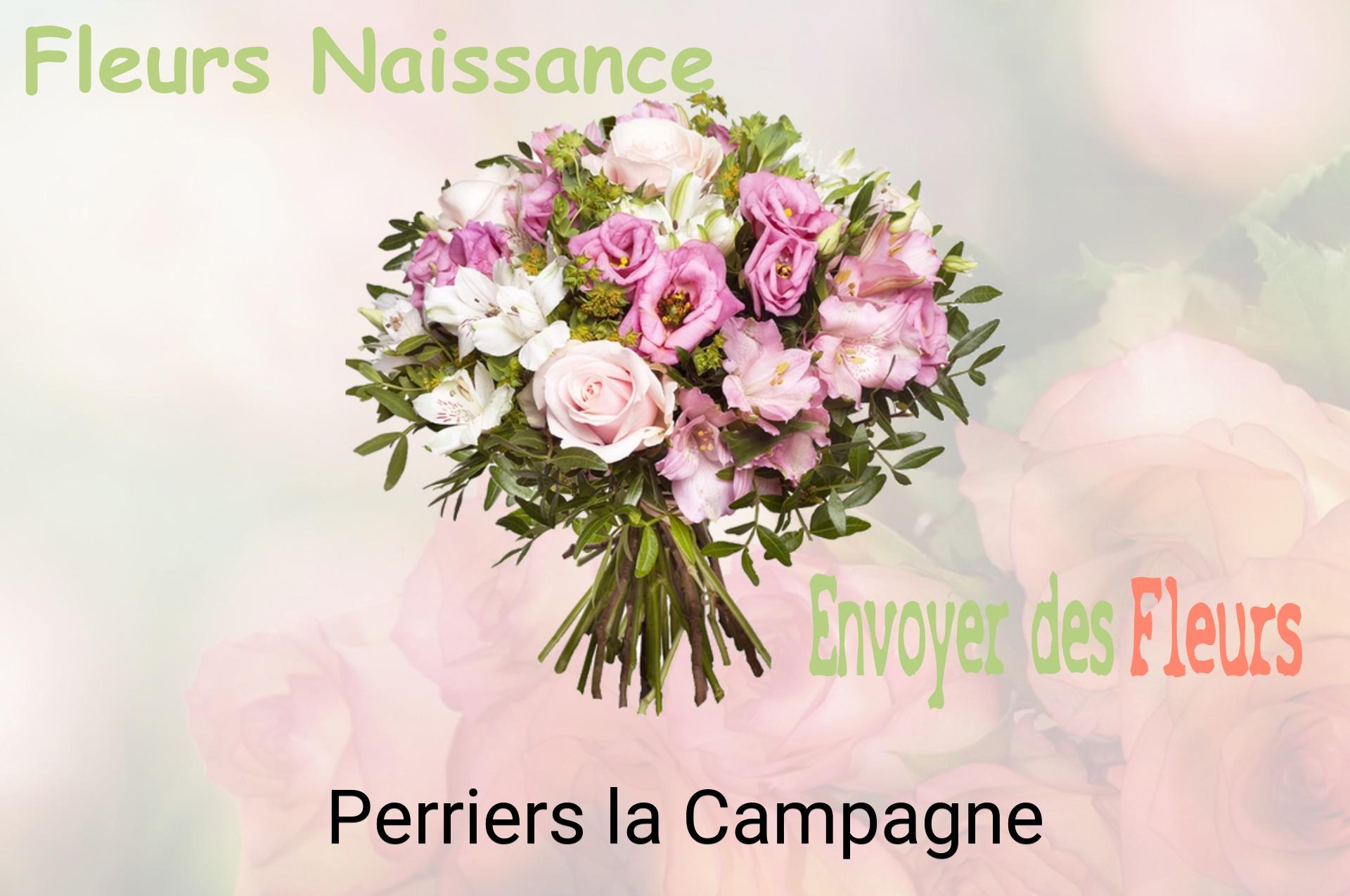Bouquet de fleurs de naissance livré à Perriers-la-Campagne